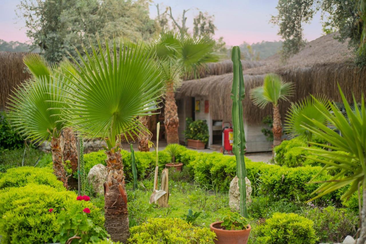 Sugar Beach Club Oludeniz Ngoại thất bức ảnh